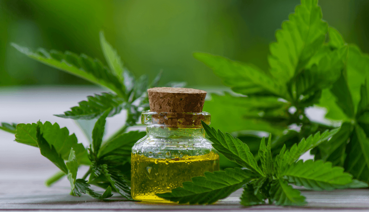 grüne Cannabis Pflanze und Extrakt auf Holztisch